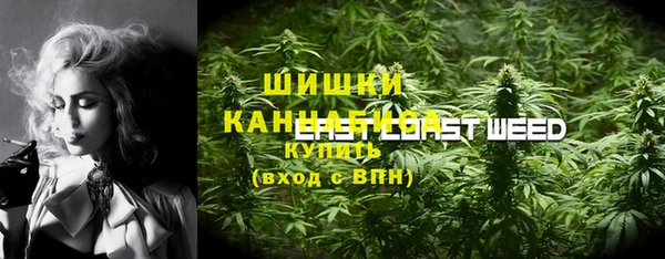 крисы Аркадак